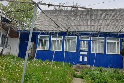 Casă cu 4 camere în Central - 4