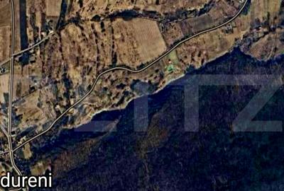 Teren intravilan 11600mp,drum asfaltat, situat in Padureni - 2