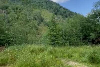 Teren pentru constructie in Valea Ierii cu front la dum asfaltat si utilitati - 2