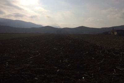 Teren de vânzare in Sard - 4