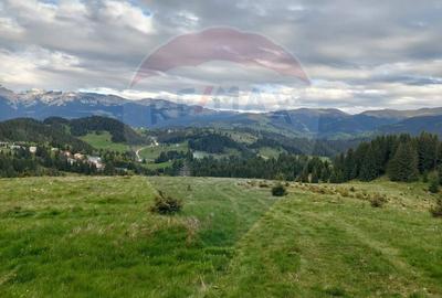 O fereastra catre cer - teren de vis in Fundata, la poalele Bucegilor