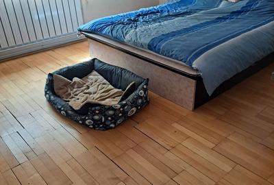 Casă cu 4 camere cu Teren 475 Mp în Cantemir - 10