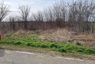 Teren intravilan in Paulesti 2700 mp 33000 Euro - 2