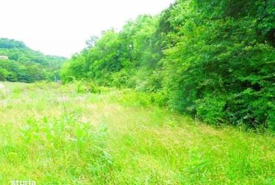 Teren de 3000 mp, în Central