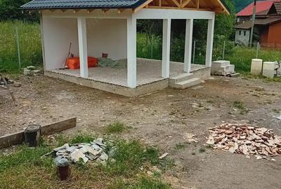 Casă cu 4 camere în Lepșa - 1
