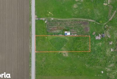 Teren de 6200 mp, în Central - 6