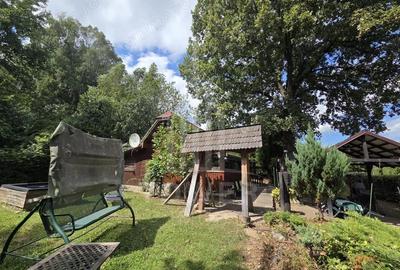 Teren de 2000 mp, în Sadu - 16