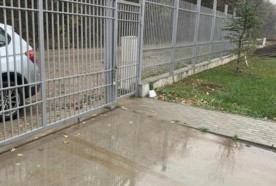 Hala de inchiriat in Joita - 480mp - 1