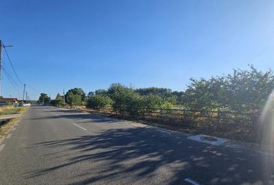 Teren, 86 ml deschidere, Comuna Runcu - 4