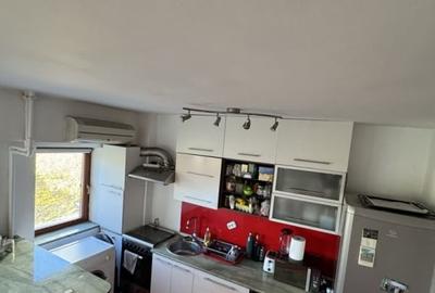 Apartament 1 camera 45mp, etaj intermediar, zona USAMV - 5