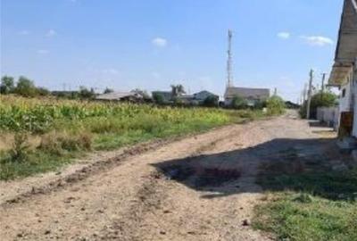 Teren de 7444 mp, în Dărmănești - 1