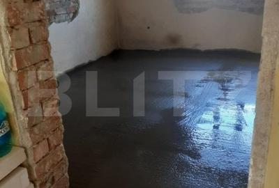 Casa de vacanta in curs de modernizare in Belis, 5 camere, 800mp teren drept - 7