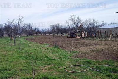 Casă individuală cu 5 camere cu Canalizare în Cornetu - 7