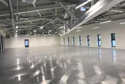 Spatii de birouri Clasa A  - Alba Iulia de la 563 mp Spatii de birouri Clasa A  - Alba Iulia de la 563 mp - 4