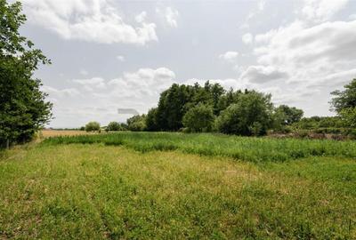 RECO Casa de Ineu - 3