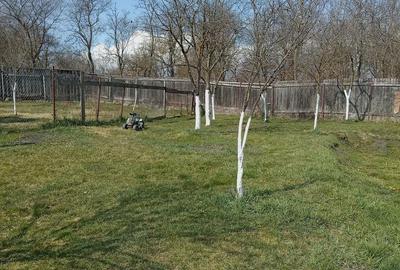 Casă cu 2 camere cu Teren 1200 Mp în Central - 2