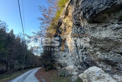 Teren Construcții extravilan de 2882 mp, în Podu Dâmboviței - 1