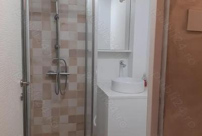 Vanzare Apartament 3 cam. cf.1 dec. etajul 4, mobilat si utilat, 2 balc., str. Industriei Zona Vidin - 13