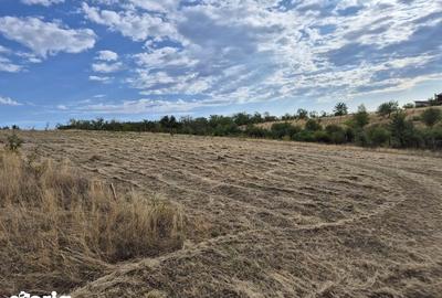 Teren de 1172 mp, în Freidorf