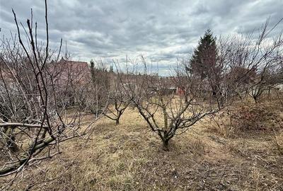 Casă individuală cu 4 camere cu Teren 1480 Mp în Nicolina - 10