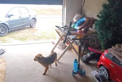 Casă cu 3 camere cu Teren 500 Mp în Cazasu - 15