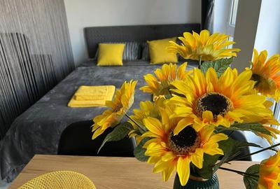 Apartament în Central - 3
