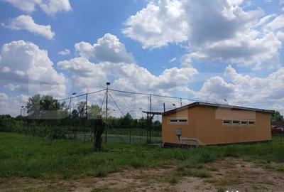 Casă cu 7 camere cu Teren 9245 Mp în Tinca - 15