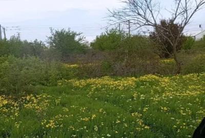 Vand 5 terenuri extravilane, arabile, in zona Verguleasa - Buzau Vand 5 terenuri extravilane, arabile, in zona Verguleasa - Buzau - 2