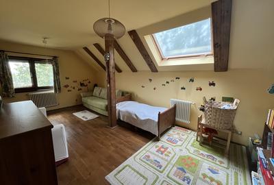 Mogosoaia, zona Martha Bibescu - 8