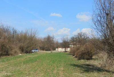 Teren în Măgurele - 8