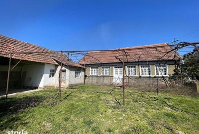 Casă cu 3 camere cu Teren 1500 Mp în Saca - 8