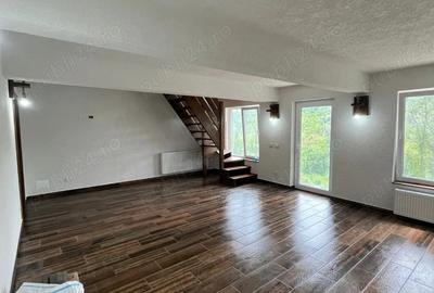 Vand 2 case cabane AFAME - 8