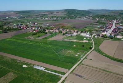 Teren de vanzare 8.700 mp in Livada comuna Iclod - 14