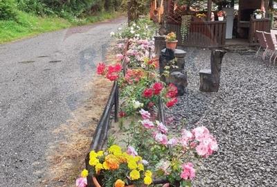 Hotel 20 camere de vanzare in statiunea Izvoare Maramures - 5