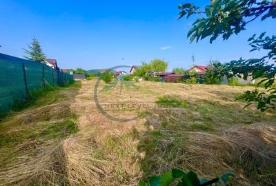 Teren Bod intravilan, Poiana Craitelor - 2