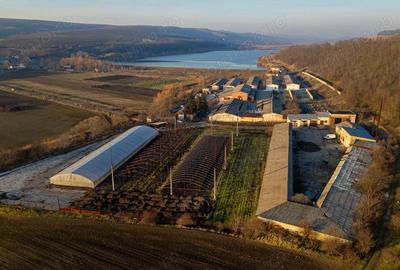 Spațiu comercial, de 50,000 mp, în Horgești - 11