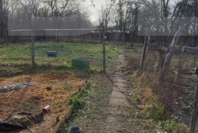 Casă cu 3 camere cu Teren 900 Mp în Central - 5