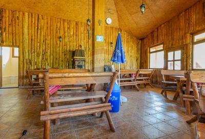Hotel / Pensiune cu 10 camere de vanzare/Vama Buzaului - 46