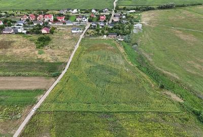 De vanzare teren de 3091 mp in Lilieci / Strada Tulbuc - Bacau - 6