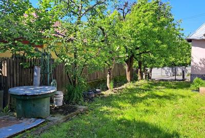 CASA SI LIVADA/ZONA DE DEALURI IMPADURITE/VALEA SCHEII/MANGA/VOINESTI/DAMBOVITA - 11