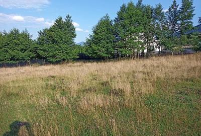 Teren de 1060 mp, în Predeluț - 1