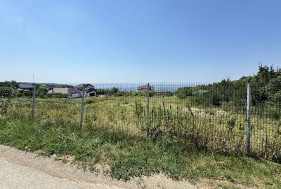 Teren de 28500 mp, în Păun - 5