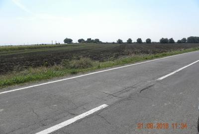 Teren de 5000 mp, în Cazasu