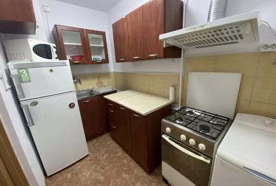 Garsoniera Lacul tei compacta DB1468 - 4