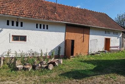 Casă cu 5 camere în Balșa - 5