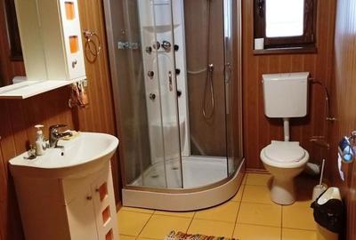 Casă cu 5 camere cu Teren 900 Mp în Râu Sadului - 9