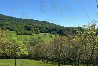 Terenuri 12.225 mp - Ramnicu Valcea, Aranghel - 2