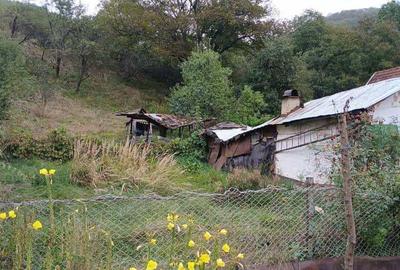 Casă cu 2 camere cu Teren 3342 Mp în Rusca - 8