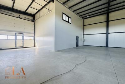 Spațiu industrial, de 425 mp, în Domnești - 4