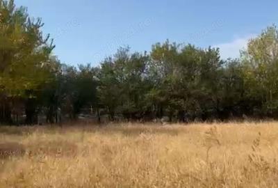 Teren de 5452 mp, în Cornățelu - 2